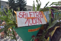 Dożynki, Goleszów 2019